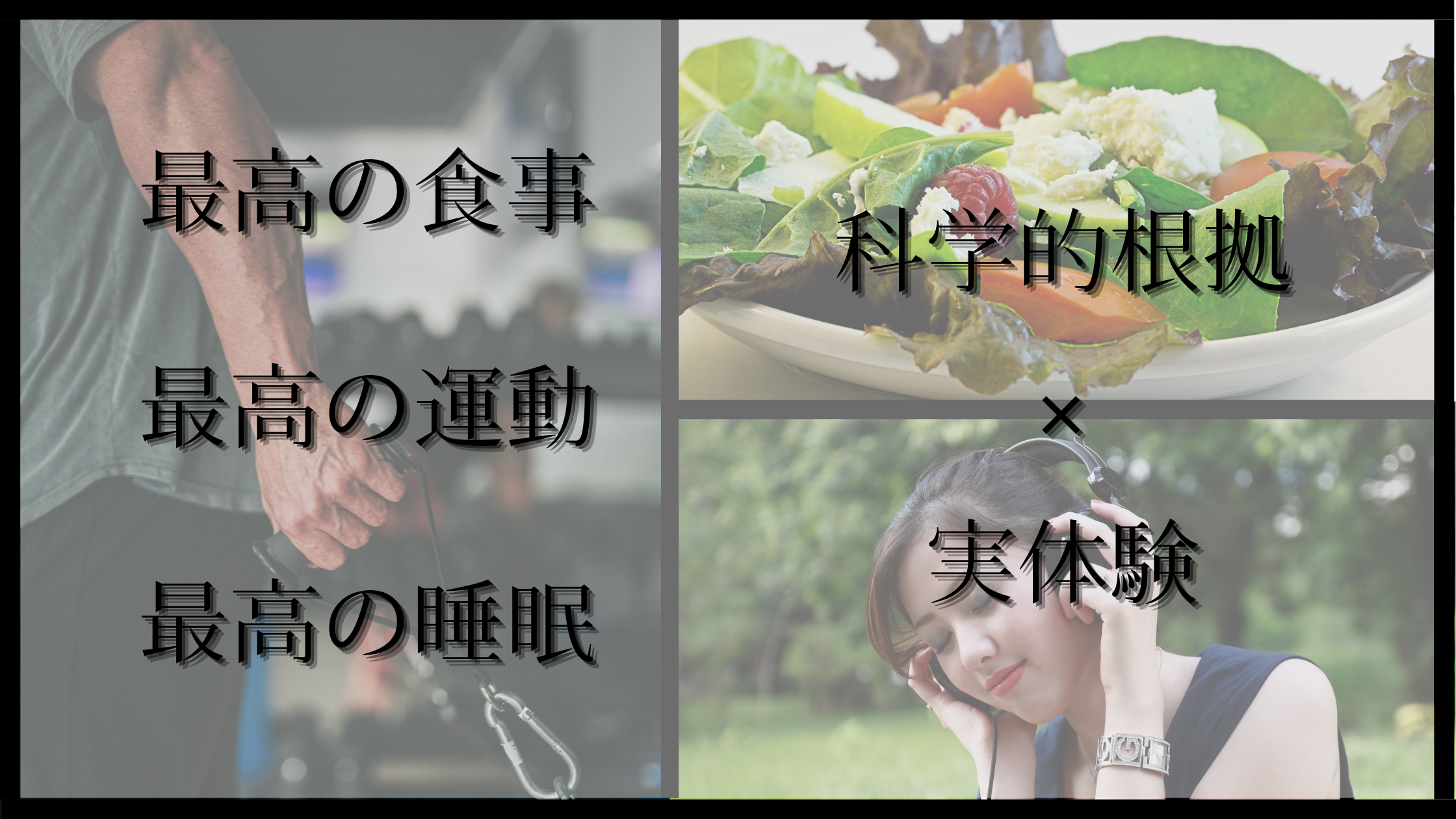 たかしのウェルネスノート